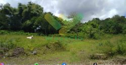 DIJUAL CEPAT TANAH CANTIK DAERAH TOMOHON, HARGA SANGAT MURAH