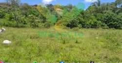DIJUAL CEPAT TANAH CANTIK DAERAH TOMOHON, HARGA SANGAT MURAH