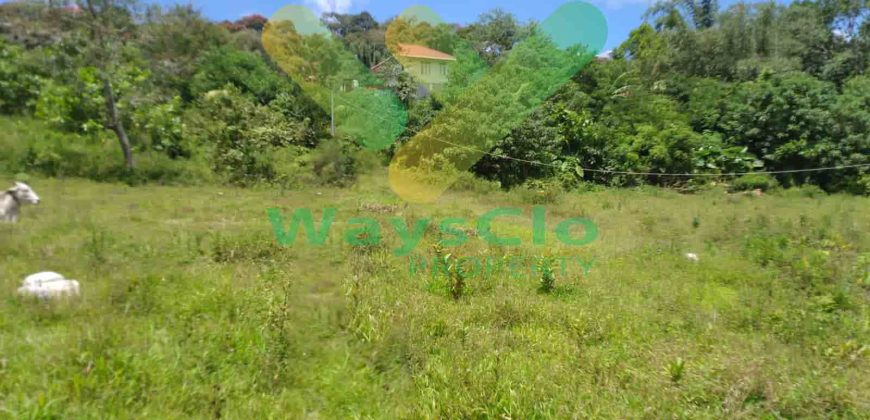 DIJUAL CEPAT TANAH CANTIK DAERAH TOMOHON, HARGA SANGAT MURAH