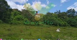 DIJUAL CEPAT TANAH CANTIK DAERAH TOMOHON, HARGA SANGAT MURAH