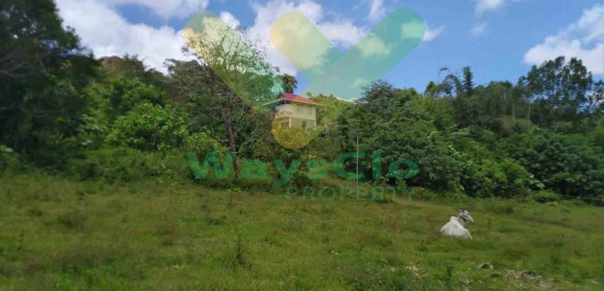 DIJUAL CEPAT TANAH CANTIK DAERAH TOMOHON, HARGA SANGAT MURAH