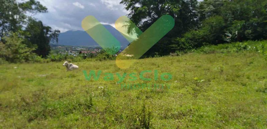 DIJUAL CEPAT TANAH CANTIK DAERAH TOMOHON, HARGA SANGAT MURAH