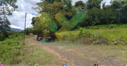 DIJUAL CEPAT TANAH CANTIK DAERAH TOMOHON, HARGA SANGAT MURAH