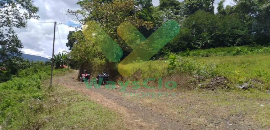 DIJUAL CEPAT TANAH CANTIK DAERAH TOMOHON, HARGA SANGAT MURAH