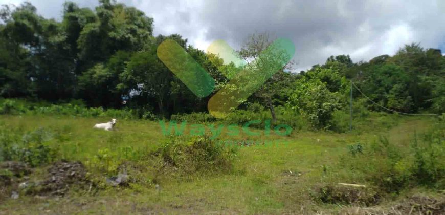 DIJUAL CEPAT TANAH CANTIK DAERAH TOMOHON, HARGA SANGAT MURAH