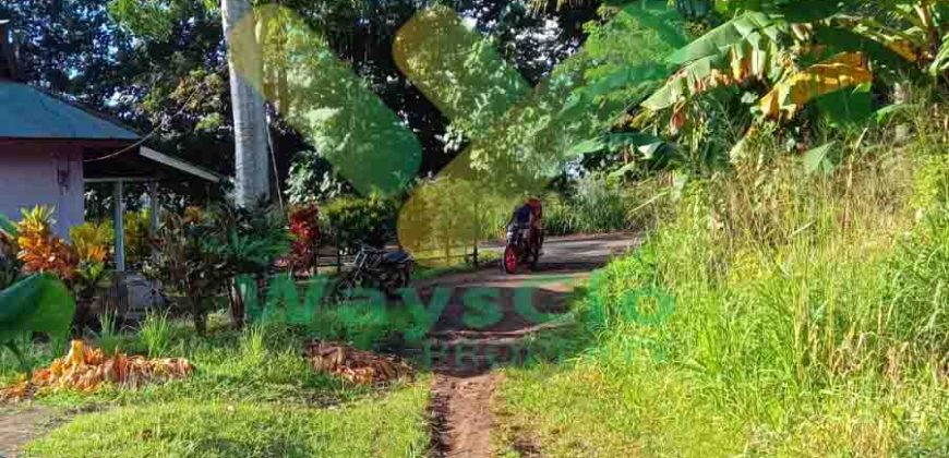 DIJUAL CEPAT TANAH CANTIK DAN MENARIK DAERAH KAUDITAN, HARGA SANGAT MURAH