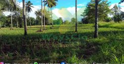 DIJUAL CEPAT TANAH CANTIK DAN MENARIK DAERAH KAUDITAN, HARGA SANGAT MURAH