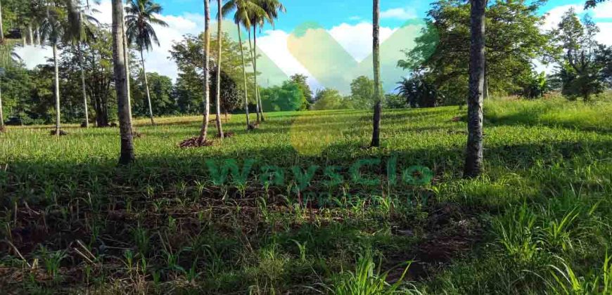DIJUAL CEPAT TANAH CANTIK DAN MENARIK DAERAH KAUDITAN, HARGA SANGAT MURAH