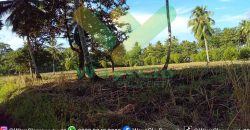 DIJUAL CEPAT TANAH CANTIK DAN MENARIK DAERAH KAUDITAN, HARGA SANGAT MURAH