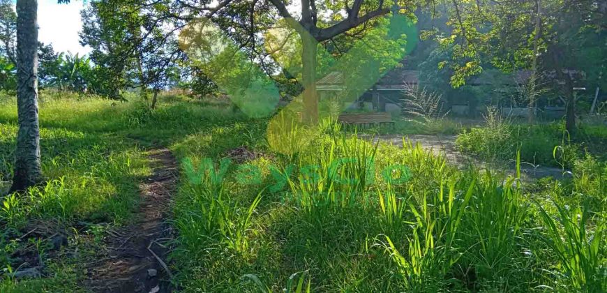DIJUAL CEPAT TANAH CANTIK DAN MENARIK DAERAH KAUDITAN, HARGA SANGAT MURAH