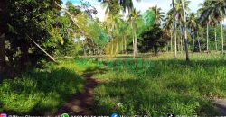 DIJUAL CEPAT TANAH CANTIK DAN MENARIK DAERAH KAUDITAN, HARGA SANGAT MURAH