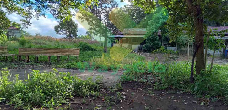 DIJUAL CEPAT TANAH CANTIK DAN MENARIK DAERAH KAUDITAN, HARGA SANGAT MURAH