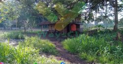 DIJUAL CEPAT TANAH CANTIK DAN MENARIK DAERAH KAUDITAN, HARGA SANGAT MURAH