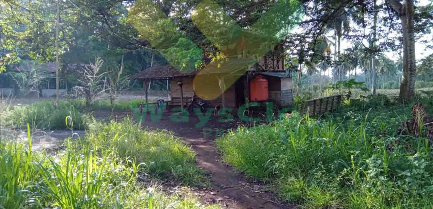 DIJUAL CEPAT TANAH CANTIK DAN MENARIK DAERAH KAUDITAN, HARGA SANGAT MURAH