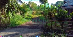 DIJUAL CEPAT TANAH CANTIK DAN MENARIK DAERAH KAUDITAN, HARGA SANGAT MURAH