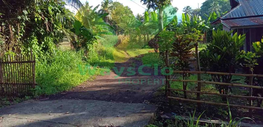 DIJUAL CEPAT TANAH CANTIK DAN MENARIK DAERAH KAUDITAN, HARGA SANGAT MURAH
