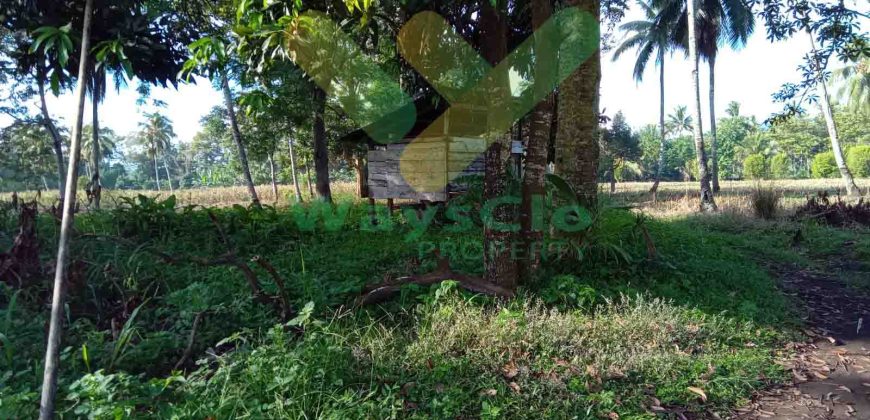 DIJUAL CEPAT TANAH CANTIK DAN MENARIK DAERAH KAUDITAN, HARGA SANGAT MURAH