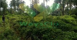DIJUAL CEPAT TANAH KAVLUNG SANGAT MURAH DAERAH WORI, PEMILIK BUTUH UANG