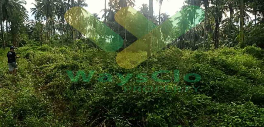DIJUAL CEPAT TANAH KAVLUNG SANGAT MURAH DAERAH WORI, PEMILIK BUTUH UANG