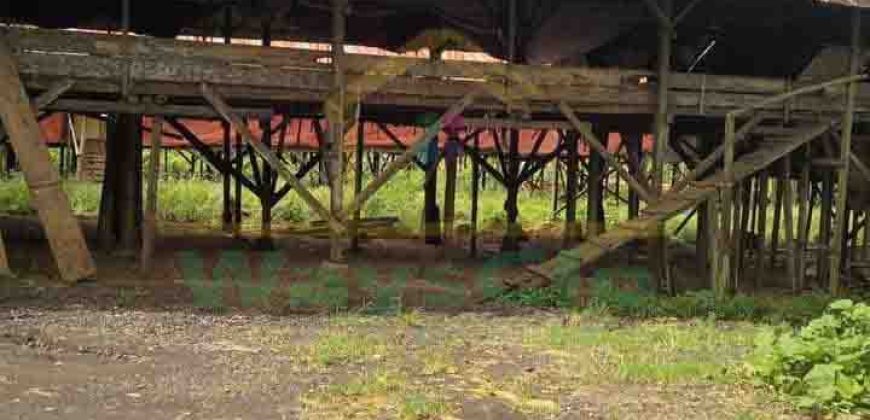 DIJUAL CEPAT TANAH PLUS PETERNAKAN AYAM AKTIV DAERAH MINAHASA, HARGA SANGAT MURAH