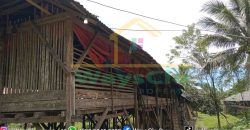 DIJUAL CEPAT TANAH PLUS PETERNAKAN AYAM AKTIV DAERAH MINAHASA, HARGA SANGAT MURAH