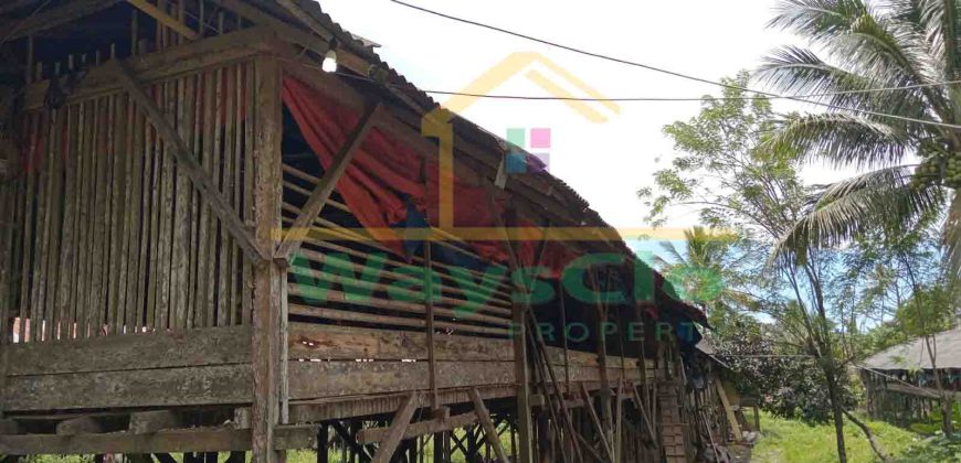 DIJUAL CEPAT TANAH PLUS PETERNAKAN AYAM AKTIV DAERAH MINAHASA, HARGA SANGAT MURAH