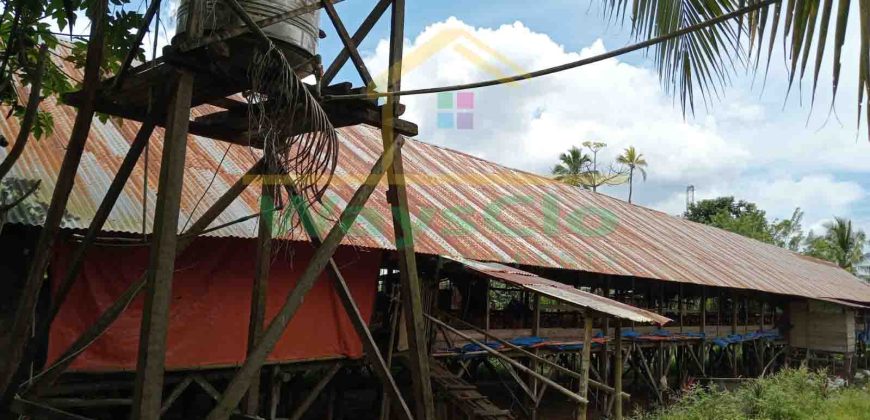 DIJUAL CEPAT TANAH PLUS PETERNAKAN AYAM AKTIV DAERAH MINAHASA, HARGA SANGAT MURAH