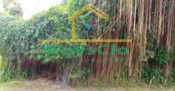 DIJUAL CEPAT TANAH STRATEGIS DAN MENARIK DAERAH KOTAMOBAGU, HARGA SANGAT MURAH