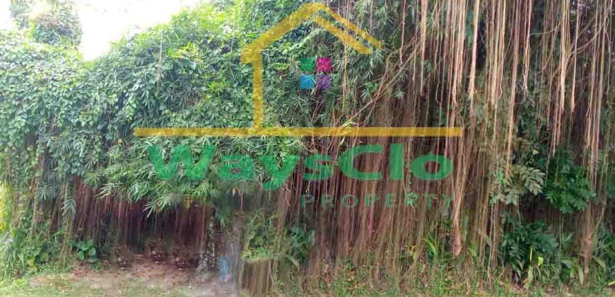 DIJUAL CEPAT TANAH STRATEGIS DAN MENARIK DAERAH KOTAMOBAGU, HARGA SANGAT MURAH