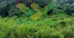 DIJUAL CEPAT TANAH CANTIK DAN MENARIK DAERAH KAUDITAN, HARGA SANGAT MURAH