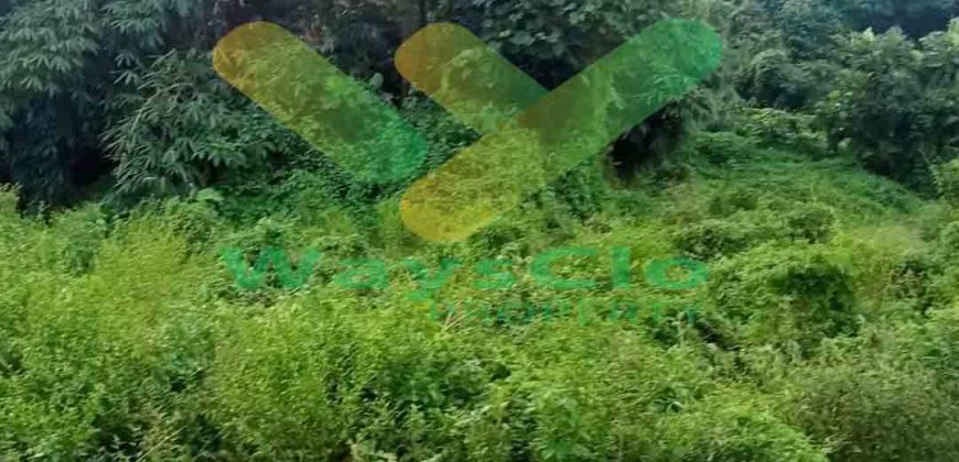 DIJUAL CEPAT TANAH CANTIK DAN MENARIK DAERAH KAUDITAN, HARGA SANGAT MURAH