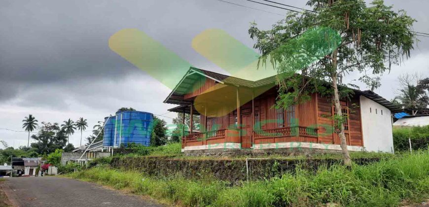 DIJUAL CEPAT RUMAH CANTIK DAN MENARIK VIEW LAUT DAERAH SEA, HARGA SANGAT MURAH