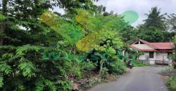 DIJUAL CEPAT TANAH SANGAT MURAH DI MALALAYANG, HARGA DI BAWAH PASARAN