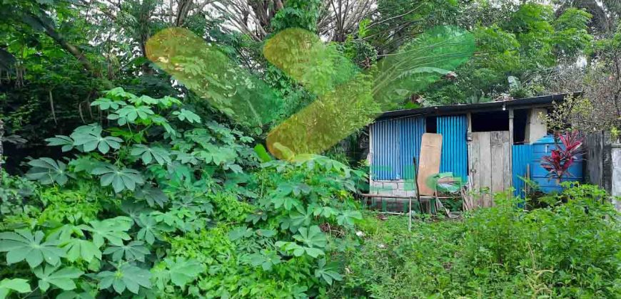 DIJUAL CEPAT TANAH SANGAT MURAH DI MALALAYANG, HARGA DI BAWAH PASARAN