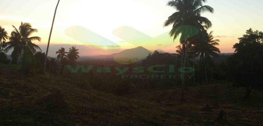 DIJUAL CEPAT TANAH MENARIK DAERAH DIMEMBE, HARGA SANGAT MURAH