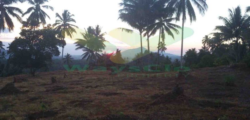 DIJUAL CEPAT TANAH MENARIK DAERAH DIMEMBE, HARGA SANGAT MURAH