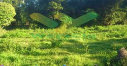 DIJUAL CEPAT TANAH MENARIK DAERAH DIMEMBE, HARGA SANGAT MURAH