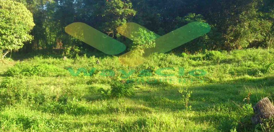 DIJUAL CEPAT TANAH MENARIK DAERAH DIMEMBE, HARGA SANGAT MURAH