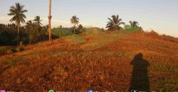 DIJUAL CEPAT TANAH MENARIK DAERAH DIMEMBE, HARGA SANGAT MURAH