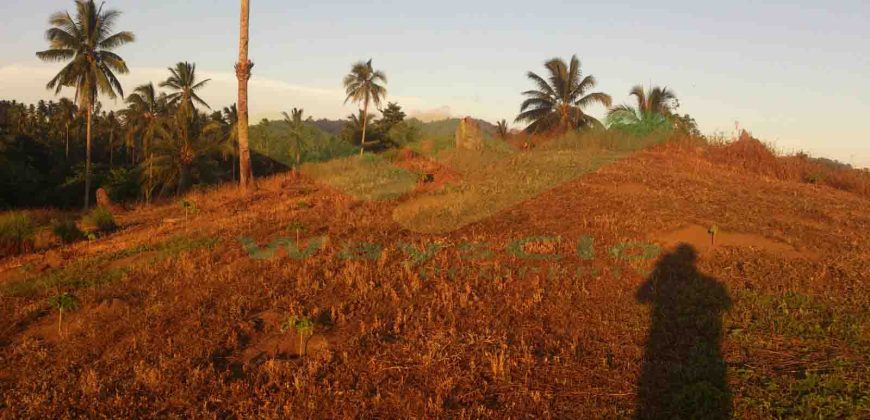 DIJUAL CEPAT TANAH MENARIK DAERAH DIMEMBE, HARGA SANGAT MURAH