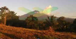 DIJUAL CEPAT TANAH MENARIK DAERAH DIMEMBE, HARGA SANGAT MURAH