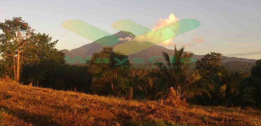 DIJUAL CEPAT TANAH MENARIK DAERAH DIMEMBE, HARGA SANGAT MURAH