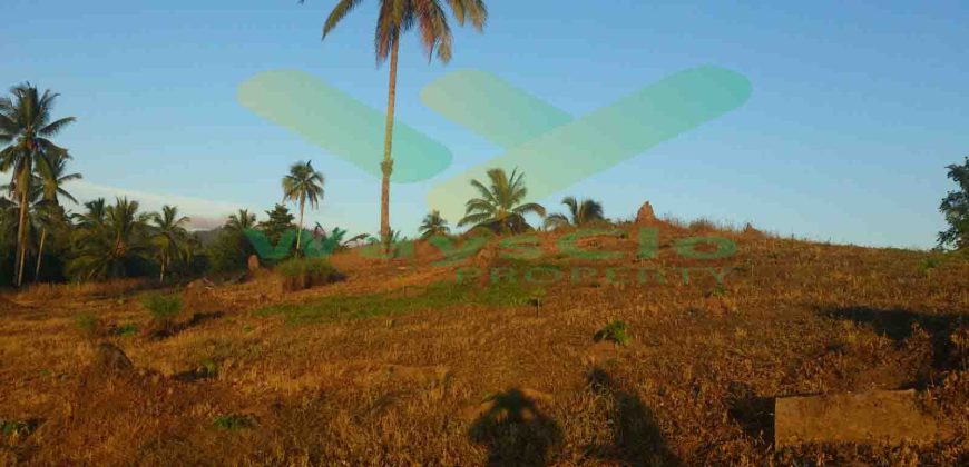 DIJUAL CEPAT TANAH MENARIK DAERAH DIMEMBE, HARGA SANGAT MURAH