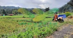 DIJUAL CEPAT TANAH PERSAWAHAN CANTIK DAERAH TOMOHON, HARGA SANGAT MURAH