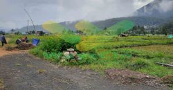 DIJUAL CEPAT TANAH PERSAWAHAN CANTIK DAERAH TOMOHON, HARGA SANGAT MURAH