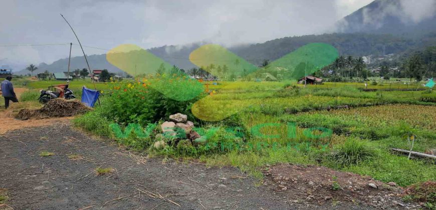 DIJUAL CEPAT TANAH PERSAWAHAN CANTIK DAERAH TOMOHON, HARGA SANGAT MURAH