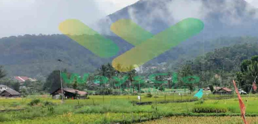 DIJUAL CEPAT TANAH PERSAWAHAN CANTIK DAERAH TOMOHON, HARGA SANGAT MURAH