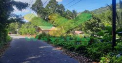 DIJUAL CEPAT TANAH CANTIK DAN MENARIK DAERAH TOMOHON, HARGA SANGAT MURAH