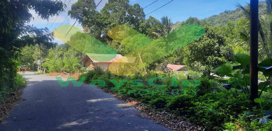 DIJUAL CEPAT TANAH CANTIK DAN MENARIK DAERAH TOMOHON, HARGA SANGAT MURAH