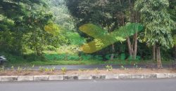 DIJUAL CEPAT TANAH MENARIK DAN STRATEGIS DAERAH SOEKARNO, HARGA SANGAT MURAH